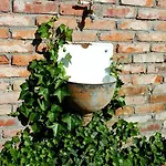 Alloggio per agriturismo Na Zielonym Wzgorzu Garcz