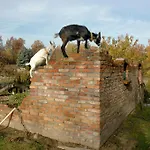 Na Zielonym Wzgorzu