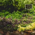 Alloggio per agriturismo Na Zielonym Wzgorzu *