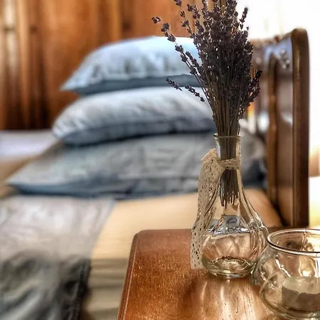 Chata Na Zielonym Wzgorzu Çiftlik konaklama *