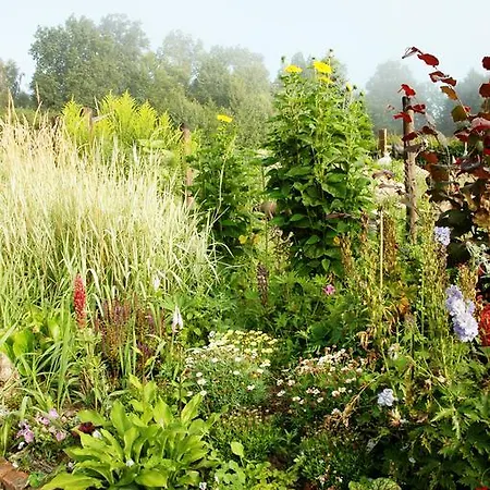 Na Zielonym Wzgórzu Garcz