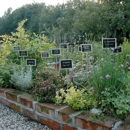 Chata Na Zielonym Wzgorzu