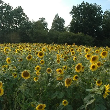 Çiftlik konaklama Chata Na Zielonym Wzgorzu Garcz