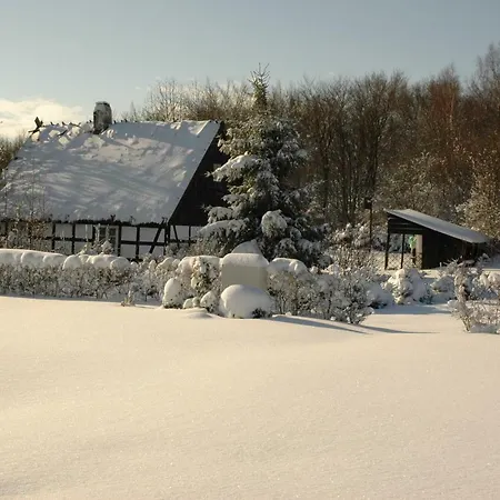 Alojamento de Turismo Rural Na Zielonym Wzgórzu *
