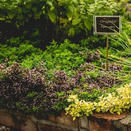 Lantgård Na Zielonym Wzgorzu *