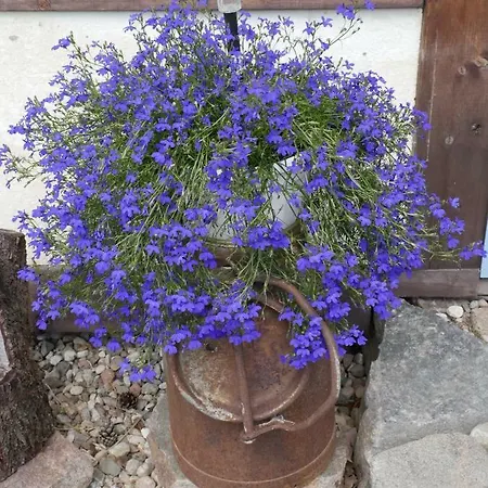 Lantgård Na Zielonym Wzgorzu Garcz