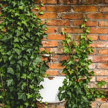 Çiftlik konaklama Chata Na Zielonym Wzgorzu