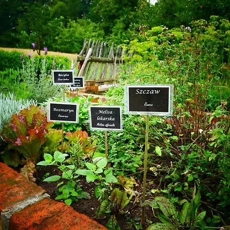 Chata Na Zielonym Wzgorzu * Garcz
