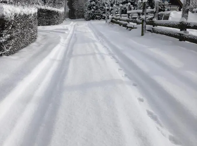 Na Zielonym Wzgorzu Farma *