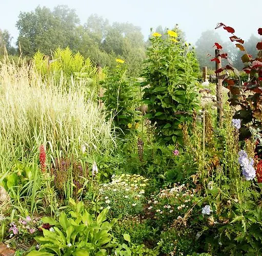 Na Zielonym Wzgorzu Garcz
