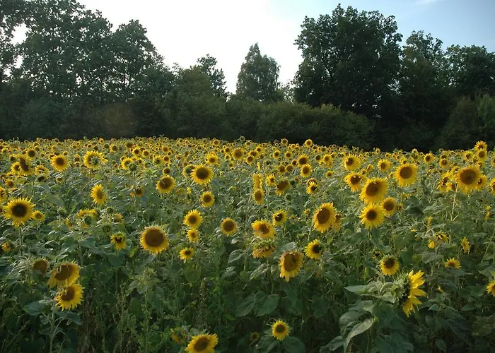 Agroturismo Na Zielonym Wzgórzu Garcz