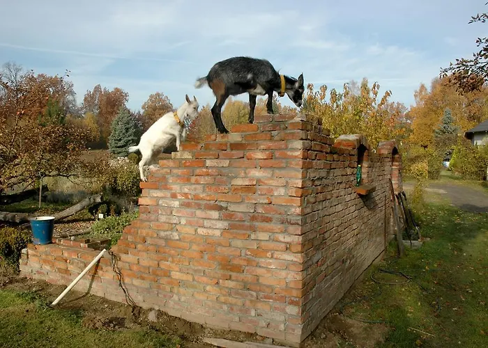Na Zielonym Wzgórzu