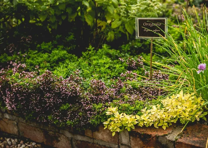 Agroturismo Na Zielonym Wzgórzu *