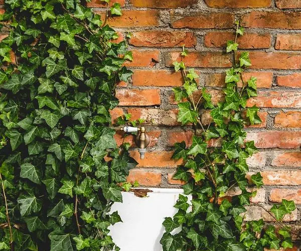 Farma Na Zielonym Wzgorzu