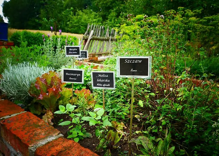 Na Zielonym Wzgórzu * Garcz